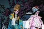 孟丽君 全集下载