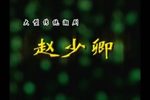 赵少卿 全集
