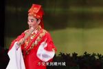 苏六娘杨子良讨亲