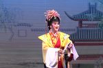 血溅南梁宫藏玺下载
