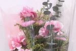 尊声嫂娘息雷霆 选段下载