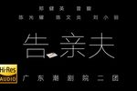 告亲夫 全集下载
