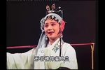 秦凤兰救夫 全集