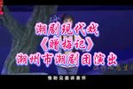 赠梅记 全集下载