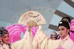 桃花扇 全集