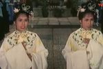 真假金牡丹下载