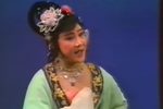 美人泪自从被掠入深宫 选段