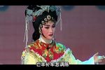狸猫换太子