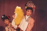 藏书元宵佳境梦依稀 选段