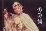辞郎洲劝郎