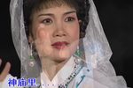 负心梦游魂飘荡入京畿 选段