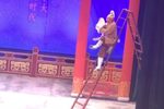 柴房会下载