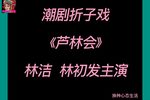 芦林会下载