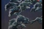 彩楼记 全集