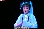 告亲夫 全集下载