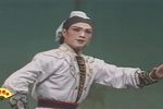 真假杨六婿第五场