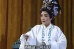 恭孝王登基写书劝降 选段