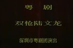 双枪陆文龙 全集下载