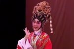 刁蛮公主戆驸马下载