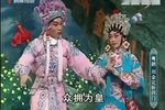 刘金定斩四门下载