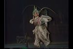 百花公主刺目下载