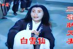 会审三师下载