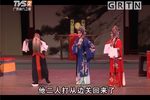 杨门女将寿堂惊变下载