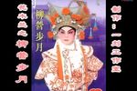 花木兰之柳营步月下载