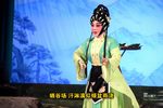 宋王告状下载
