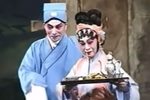 丹凤飞临野鹤家 全集下载