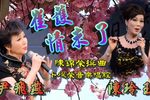 崔护情未了下载