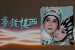 西楼错梦 全集下载