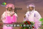 梁祝恨史下载