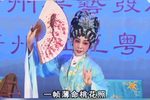 香君守楼下载