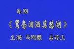 鸳鸯泪洒莫愁湖 全集下载