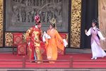 打金枝下载