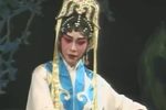 帝女花之庵遇下载