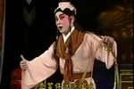 伦文叙传奇 全集下载