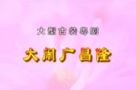 大闹广昌隆下载