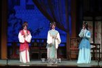 春草闯堂 全集