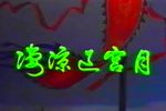 凄凉辽宫月 全集下载