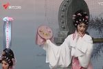 梨花情下载