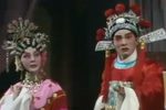 醉打金枝