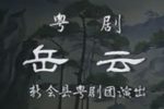 岳云 全集下载