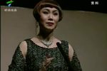 粤剧跨世纪粤剧明星演唱会
