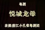 悦城龙母 全集下载