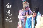 白兔记下载