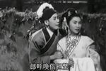 画中天仙下载