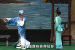 真假俏郎君 全集下载