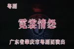 霓裳情怨 全集下载
